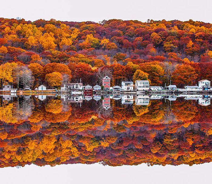 Picture Perfect Photos That Will Satisfy Every Perfectionist’s Soul