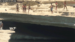 Daily GIFs Mix, part 819