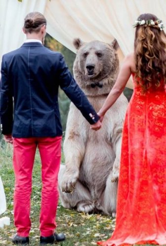 Just An Ordinary Wedding In Russia