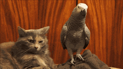 Daily GIFs Mix, part 820