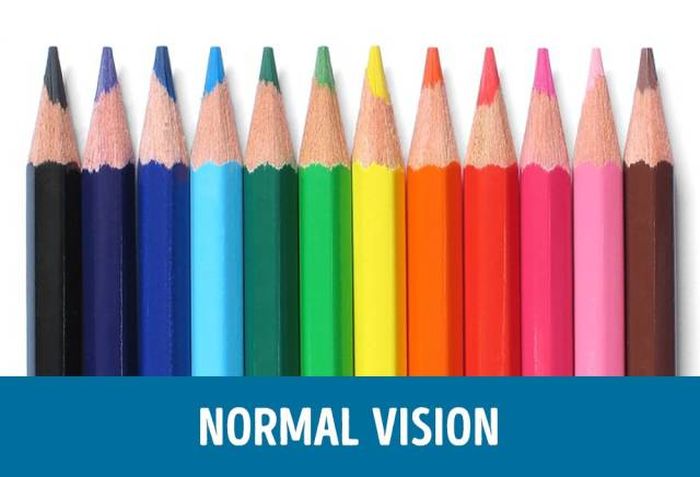 How People With Different Types Of Color Blindness See The World