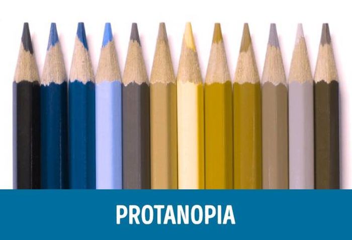 How People With Different Types Of Color Blindness See The World