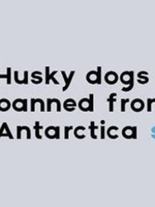 Interesting Facts That You Probably Don't Know About Antarctica