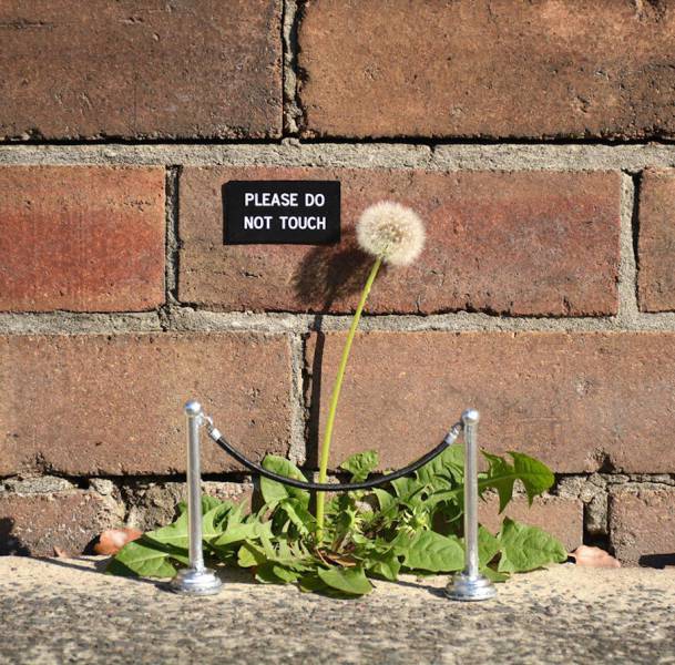 Sydney Artist Leaves Unusual Signs Around The City