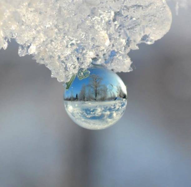 Photos That Prove Winter Is A Magical Time Of The Year