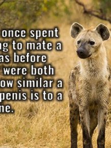 Fun Facts That Will Crush Your Ignorance And Make Your Smarter