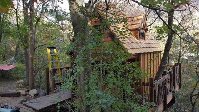 You're Going To Want To Live In This Epic Tree House