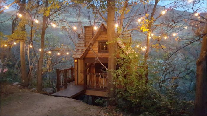 You're Going To Want To Live In This Epic Tree House