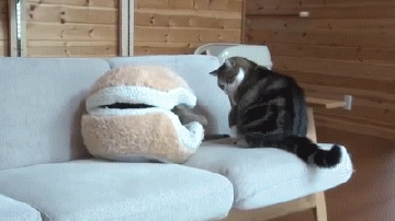 Daily GIFs Mix, part 825