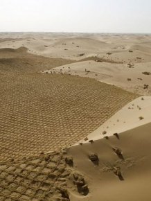 China Is Trying To Turn Parts Of The Desert Green