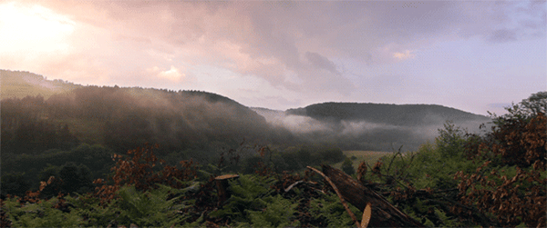 Relaxing Gifs That Will Put You At Ease