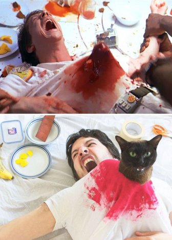 Guy Uses His Cats To Hilariously Recreate Scenes From Iconic Movies