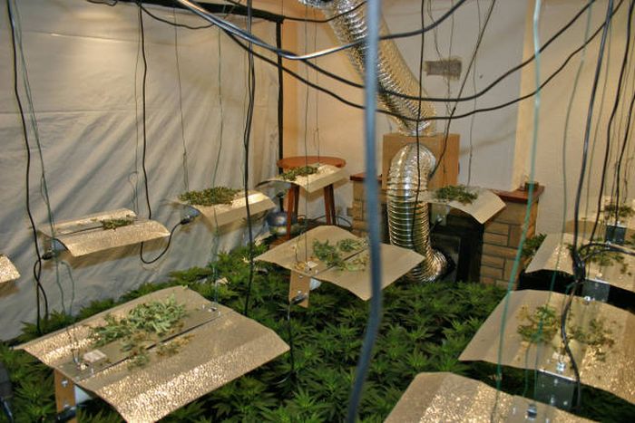 Police Find A Huge Marijuana Stash After Neighbors Report An Unusual Smell