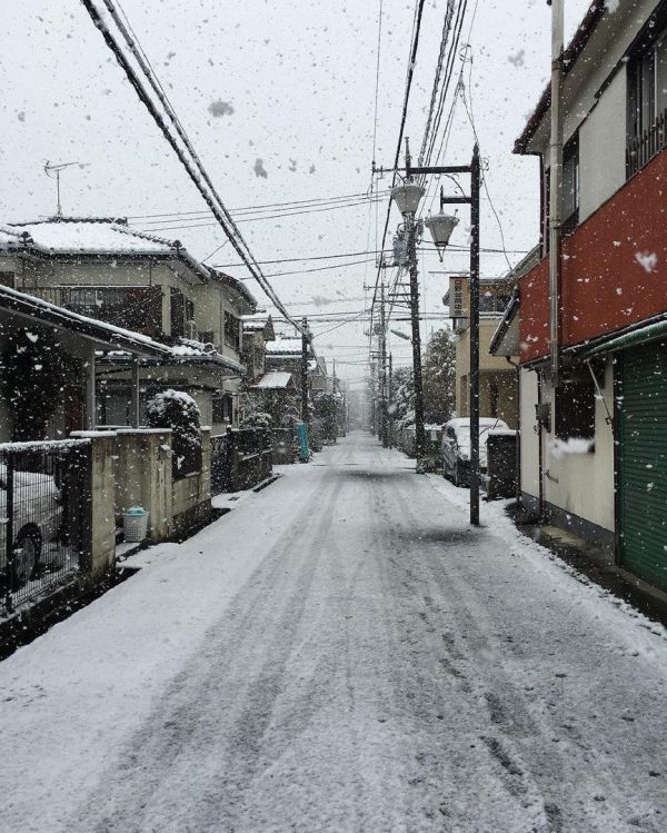 For The First Time In 54 Years It Snowed In Tokyo