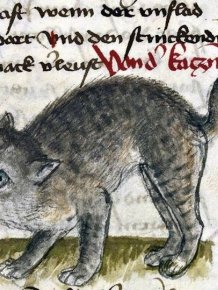 Medieval Cat Paintings That Will Crack You Up