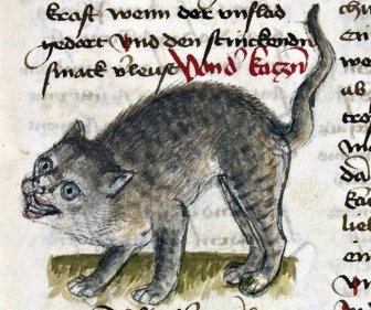 Medieval Cat Paintings That Will Crack You Up