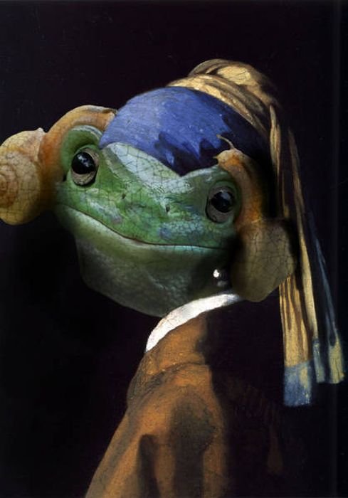 Frog That Looks Like Princess Leia Gets The Photoshop Battle Treatment