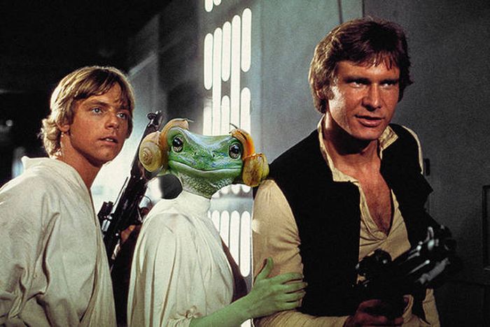 Frog That Looks Like Princess Leia Gets The Photoshop Battle Treatment