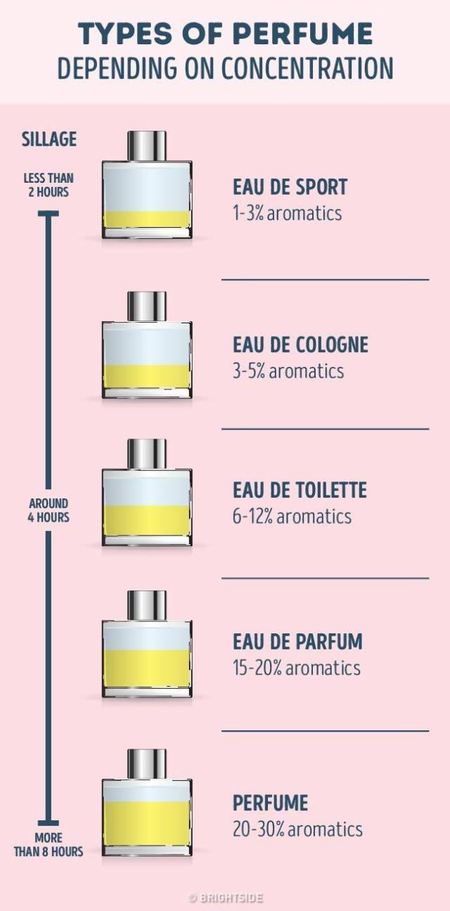 A Guide To Perfume For Aspiring Perfume Connoisseurs