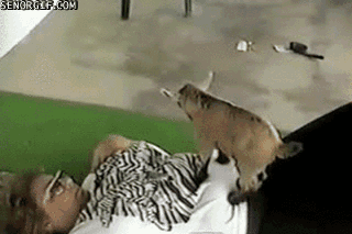 Daily GIFs Mix, part 829