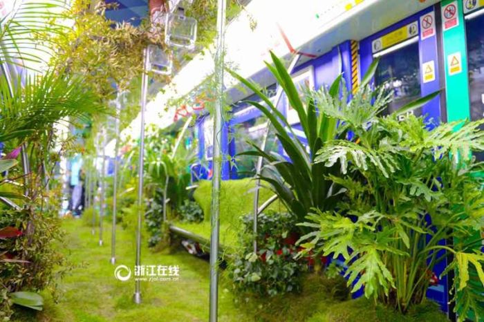 A Chinese Subway Car Has Been Turned Into A Green Forest