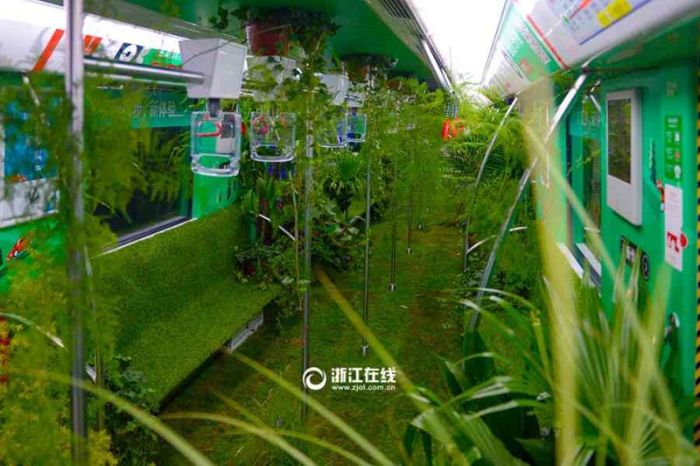 A Chinese Subway Car Has Been Turned Into A Green Forest