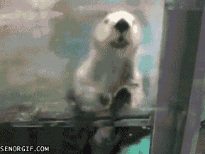 Daily GIFs Mix, part 830