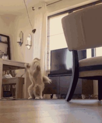 Gifs That Prove Explosions Make Everything Look Epic