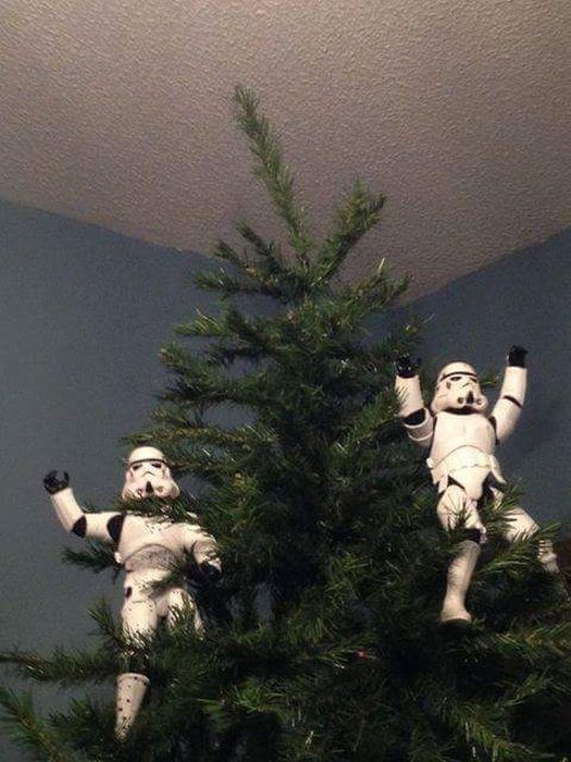 Stormtroopers Set Up The Tree For Christmas