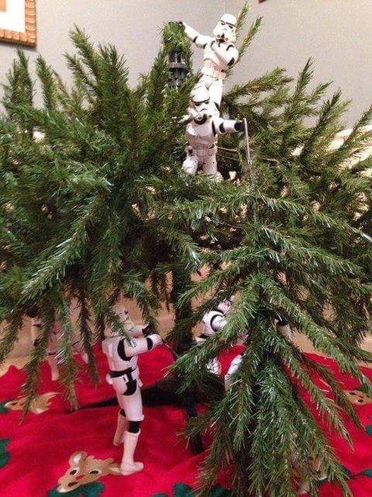 Stormtroopers Set Up The Tree For Christmas