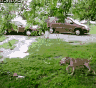 Daily GIFs Mix, part 833