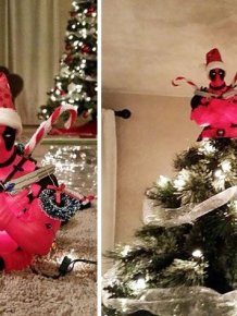 A Collection Of Amusing And Creative Christmas Tree Toppers