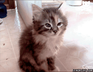 Daily GIFs Mix, part 835
