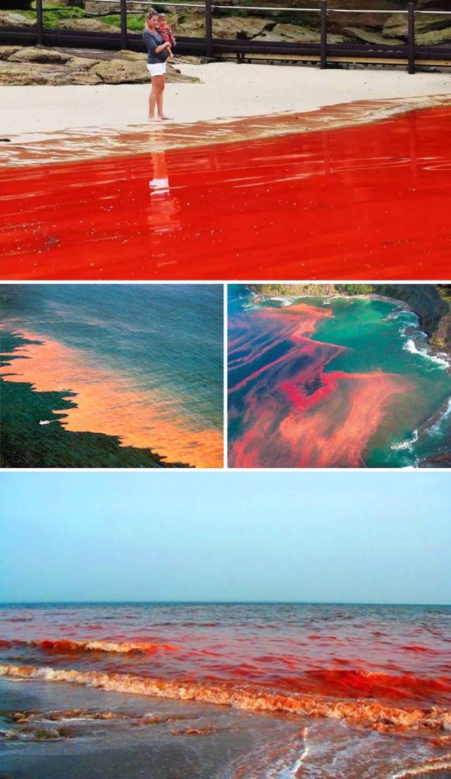 Rare And Amazing Natural Phenomena That Show How Incredible Earth Is