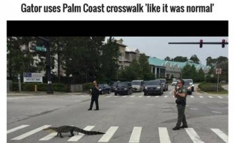 Florida Is Like The Twilight Zone Of The United States