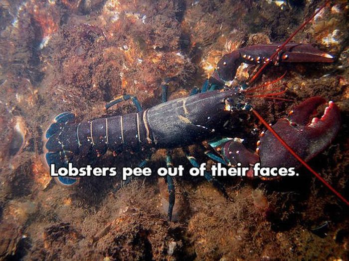 Prepare To Be Blown Away By These NSFW Facts