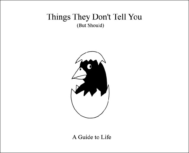 A Guide To Life That Will Teach You Important Lessons You Need To Know