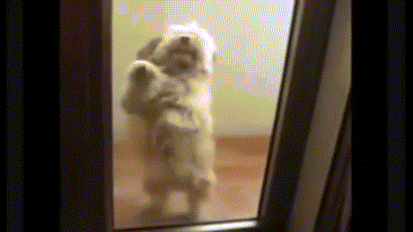Daily GIFs Mix, part 837