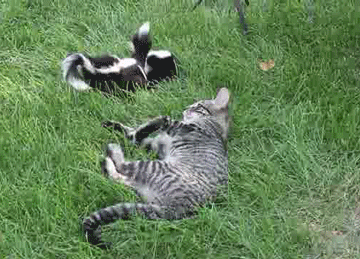 Daily GIFs Mix, part 837