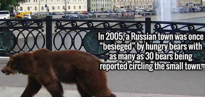 Completely Random And Fascinating Facts That Will Amuse You
