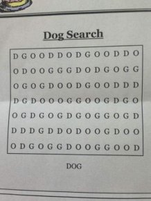 Clever Dog Puzzle Has People Scratching Their Heads