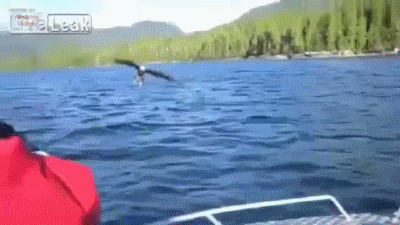 Daily GIFs Mix, part 844