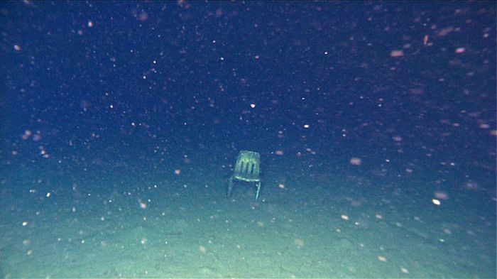 Creepy Sea Photos That Will Give You Thalassophobia