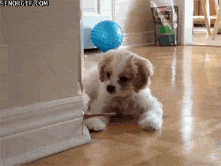 Daily GIFs Mix, part 846