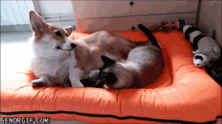 Daily GIFs Mix, part 846