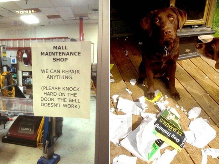 Hilarious Examples Of In Your Face Irony