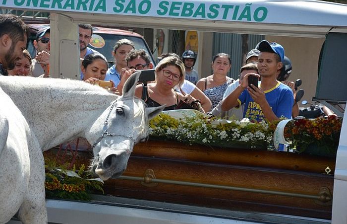 Heartbreaking Photos Show Sereno The Horse Crying At His Owner's Funeral