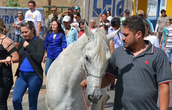 Heartbreaking Photos Show Sereno The Horse Crying At His Owner's Funeral