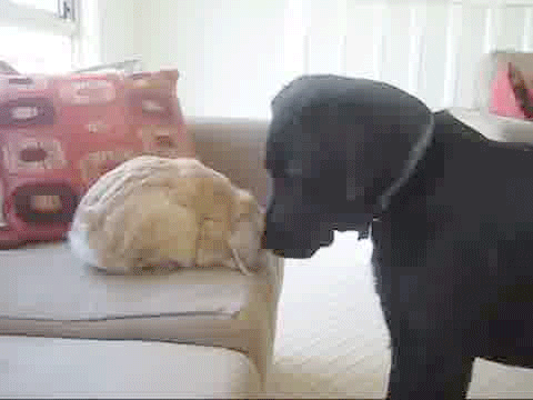 Daily GIFs Mix, part 848