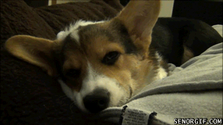Daily GIFs Mix, part 849